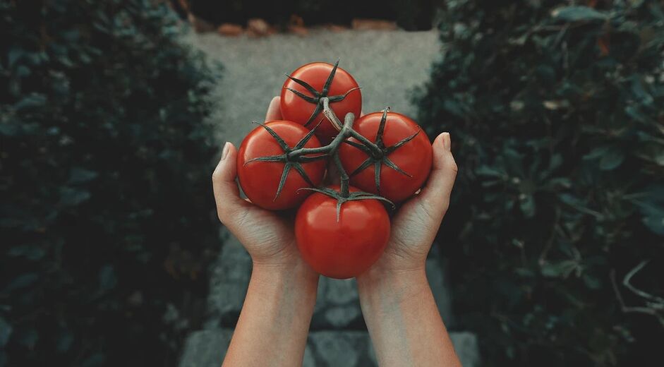 Tomato Mengurangkan Risiko Kanser Prostat